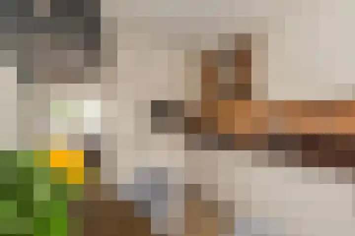 Palmedreef 25 Ede thumbnail 10