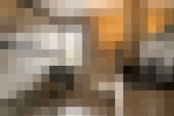 Palmedreef 25 Ede thumbnail 16