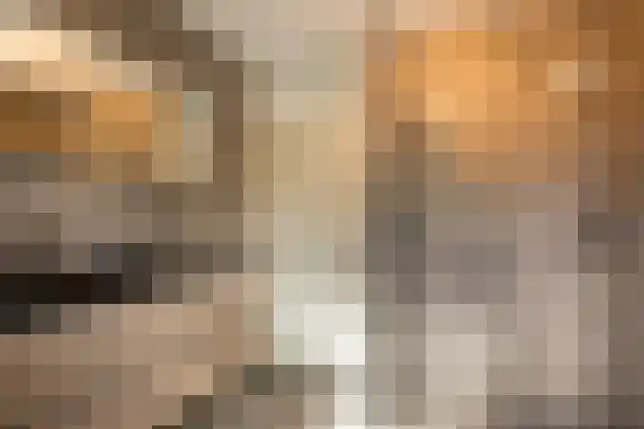 Palmedreef 25 Ede thumbnail 17