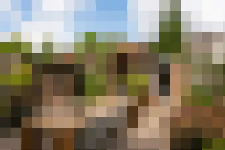 Palmedreef 25 Ede thumbnail 20