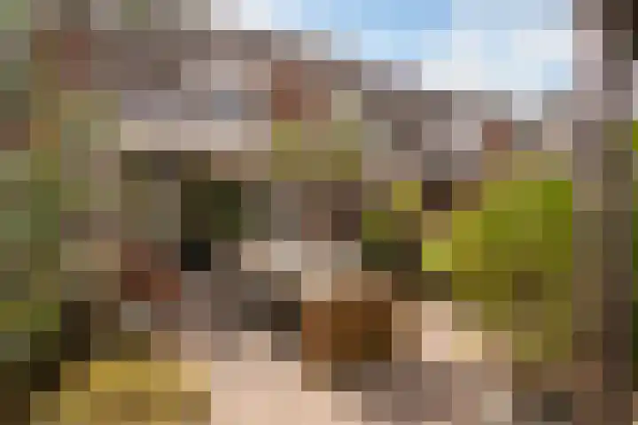 Palmedreef 25 Ede thumbnail 22