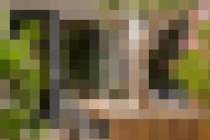 Palmedreef 25 Ede thumbnail 23