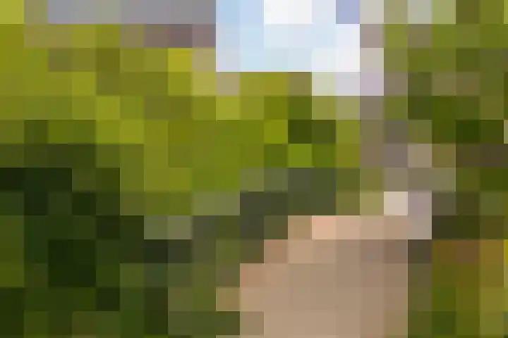 Palmedreef 25 Ede thumbnail 25