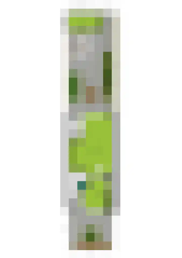 Palmedreef 25 Ede thumbnail 31