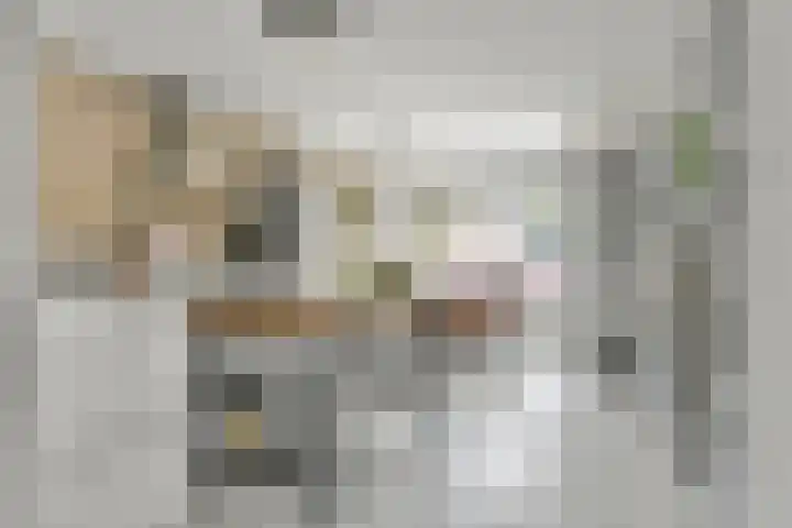 Palmestein 10 Nieuw-Vennep thumbnail 12