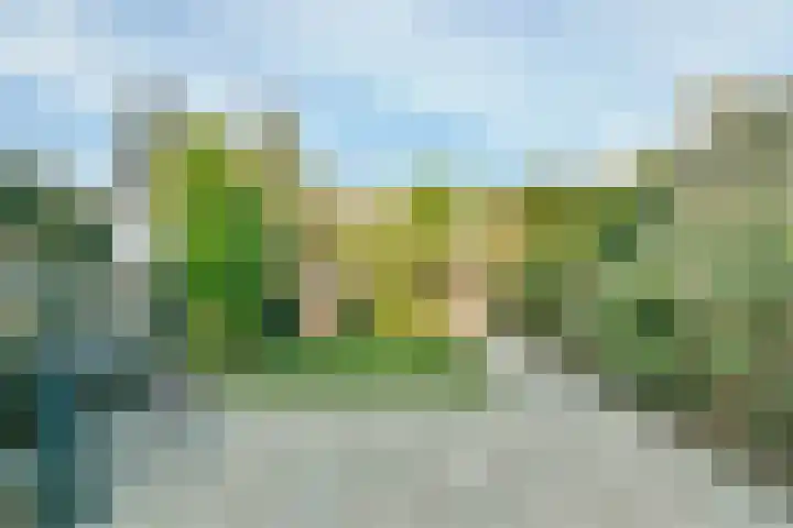Palmestein 10 Nieuw-Vennep thumbnail 19