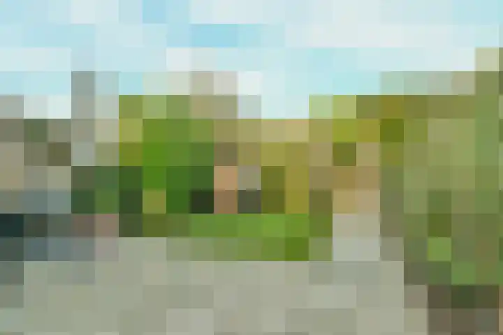 Palmestein 10 Nieuw-Vennep thumbnail 20