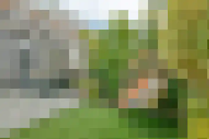 Palmestein 10 Nieuw-Vennep thumbnail 22