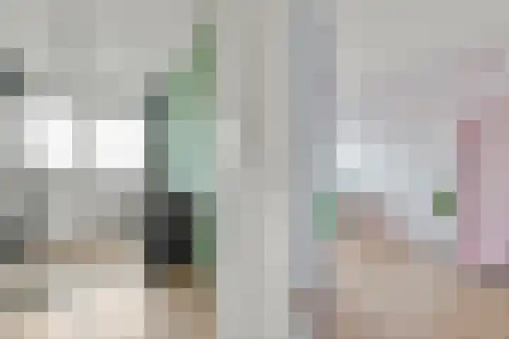 Palmestein 10 Nieuw-Vennep thumbnail 25