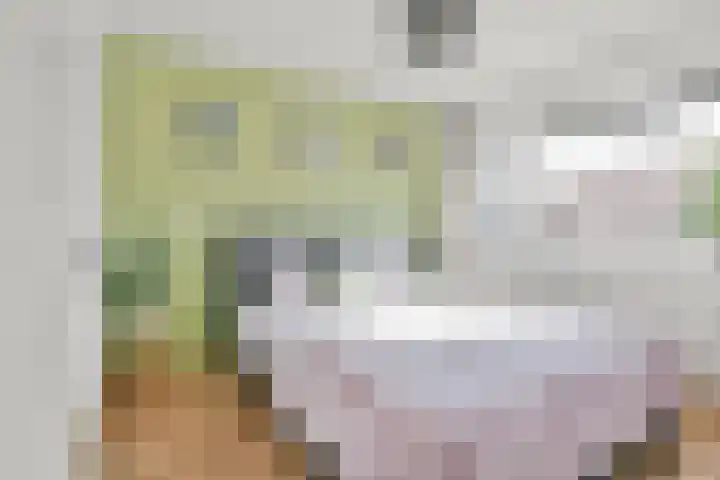 Palmestein 10 Nieuw-Vennep thumbnail 28