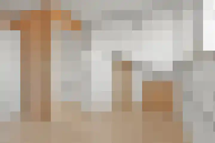 Palmestein 10 Nieuw-Vennep thumbnail 32