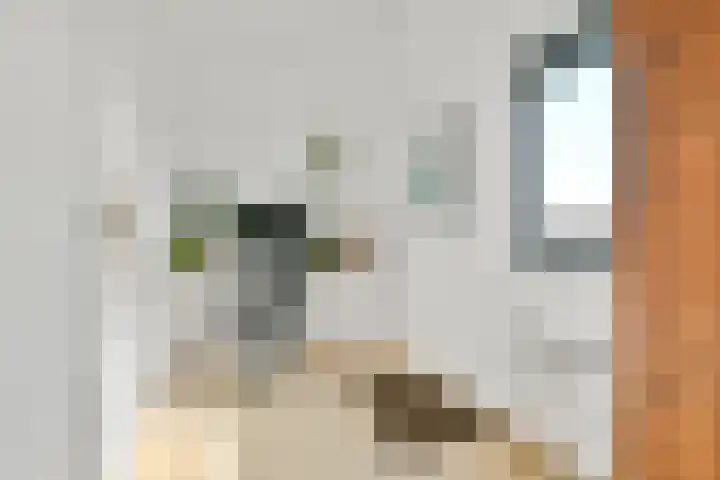 Palmestein 10 Nieuw-Vennep thumbnail 33
