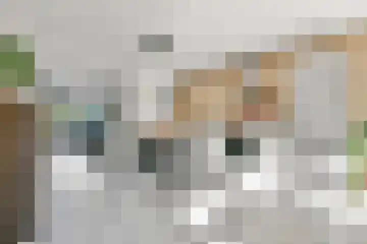 Palmestein 10 Nieuw-Vennep thumbnail 6