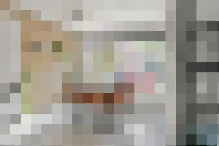 Palmestein 10 Nieuw-Vennep thumbnail 7