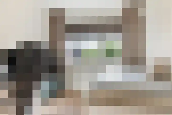 Palmestein 11 Nieuw-Vennep thumbnail 19