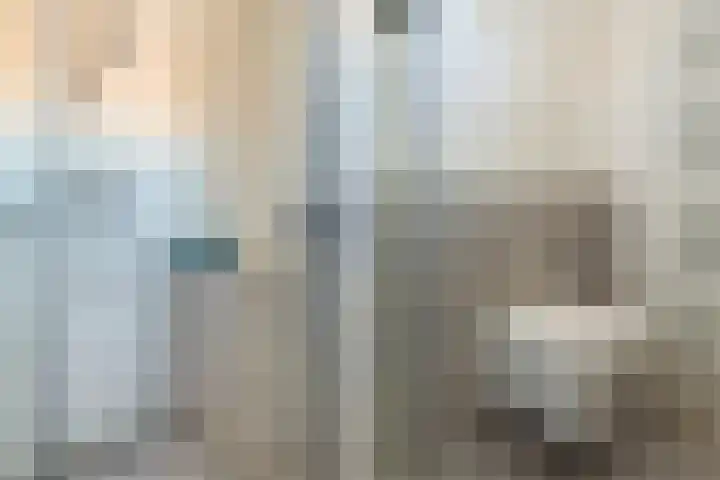 Palmestein 11 Nieuw-Vennep thumbnail 25