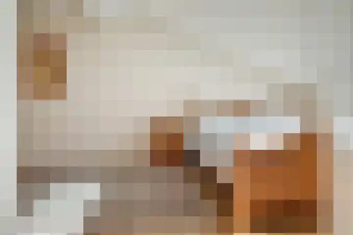 Palmestein 11 Nieuw-Vennep thumbnail 28