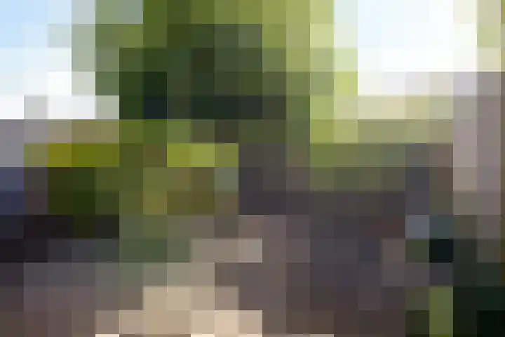 Palmestein 11 Nieuw-Vennep thumbnail 31