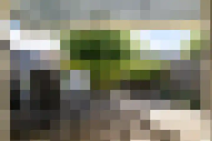 Palmestein 11 Nieuw-Vennep thumbnail 5