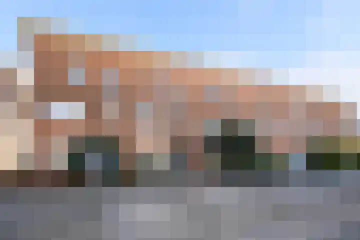 Palmestein 11 Nieuw-Vennep thumbnail 6