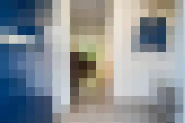 Palmestein 11 Nieuw-Vennep thumbnail 8