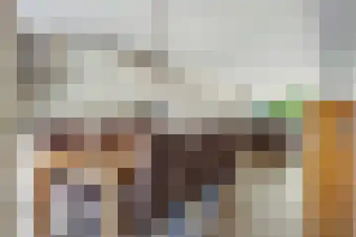 Palmestein 11 Nieuw-Vennep thumbnail 9