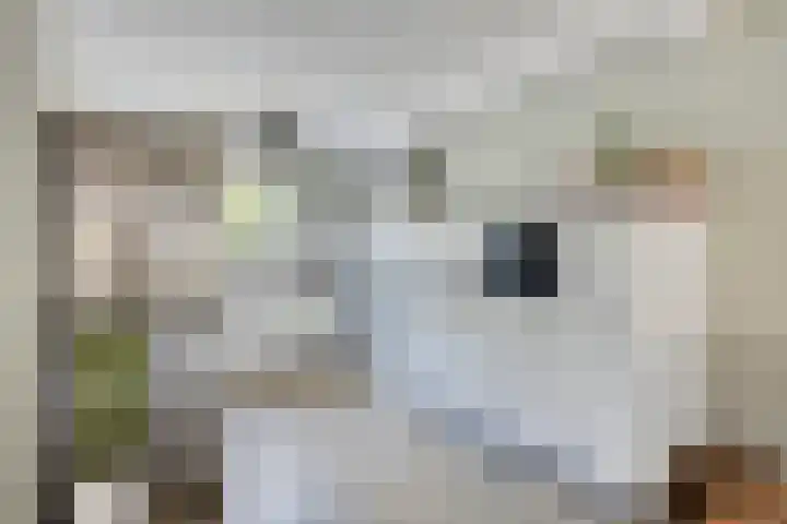 Palmestein 33 Nieuw-Vennep thumbnail 11