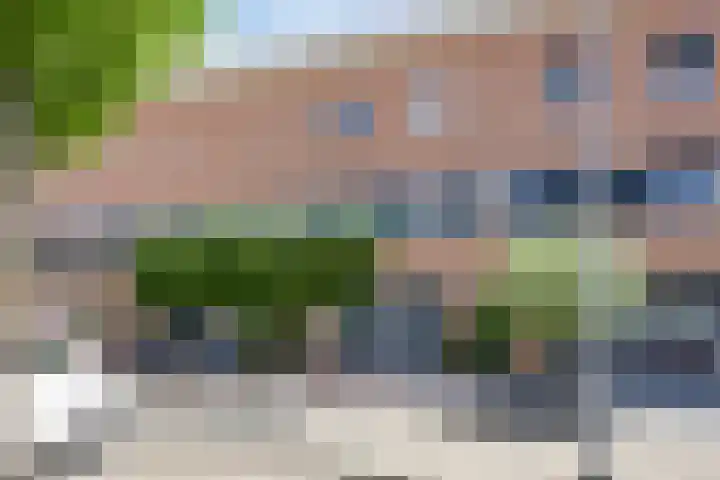 Palmestein 33 Nieuw-Vennep thumbnail 32