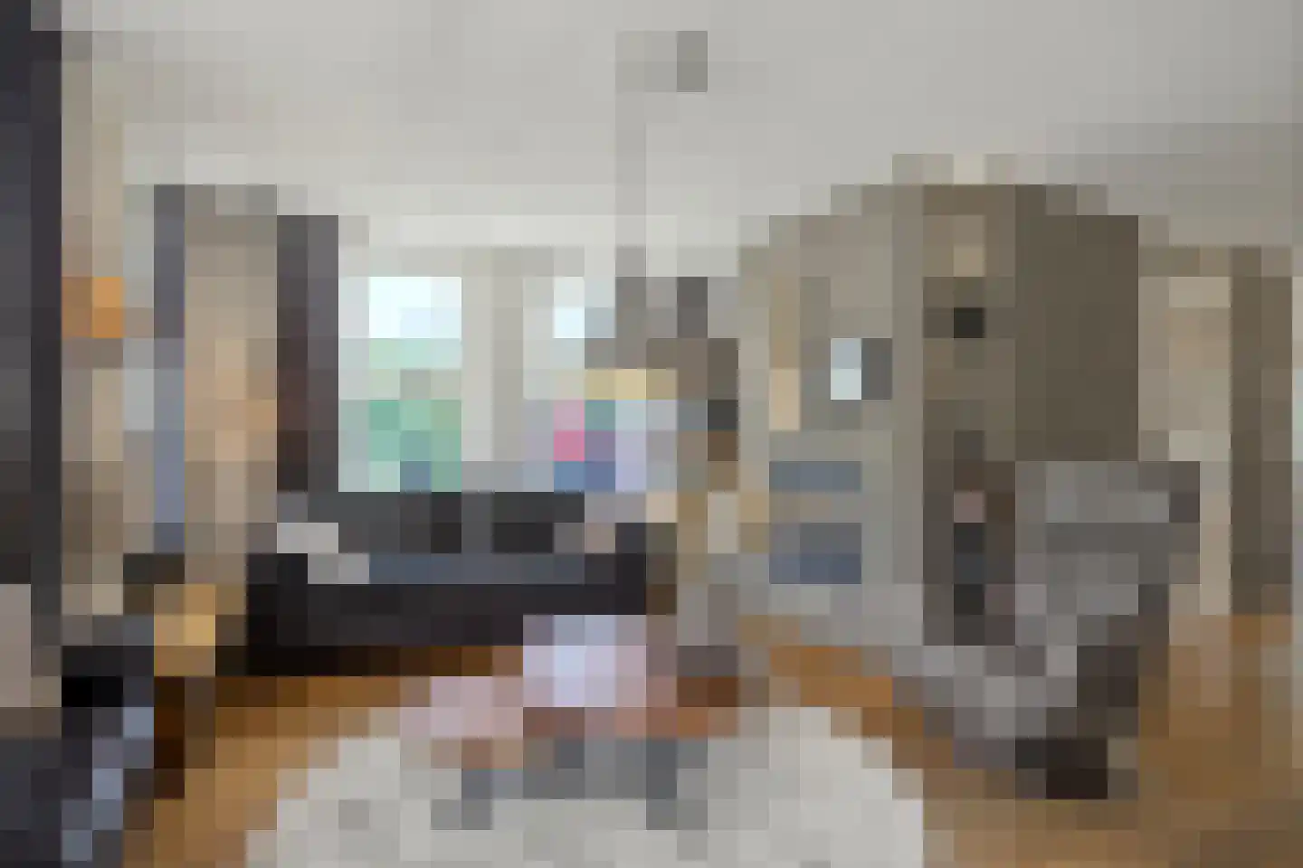 Palmestein 4 Ede thumbnail 12