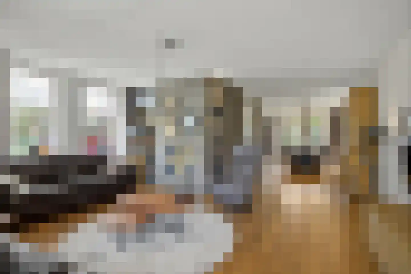 Palmestein 4 Ede thumbnail 13