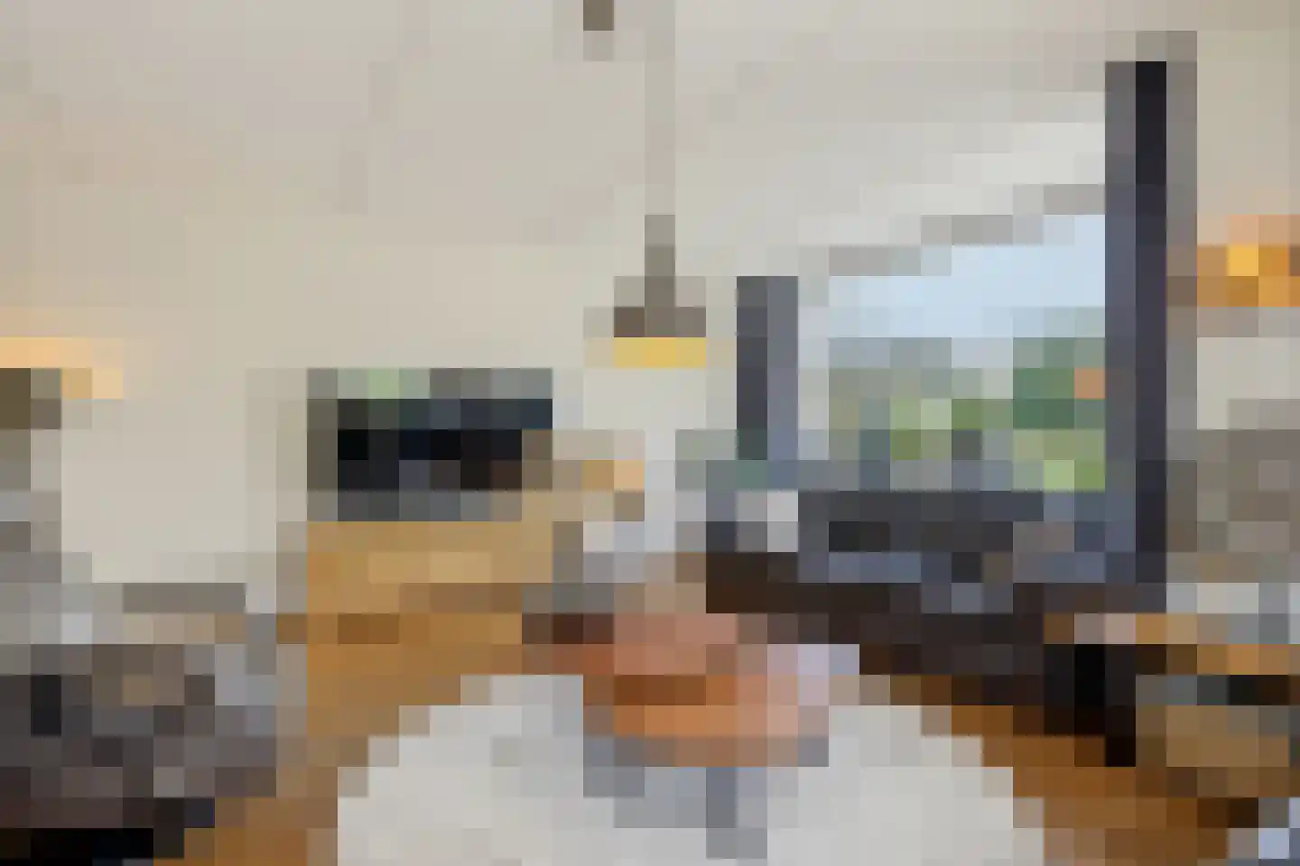 Palmestein 4 Ede thumbnail 14