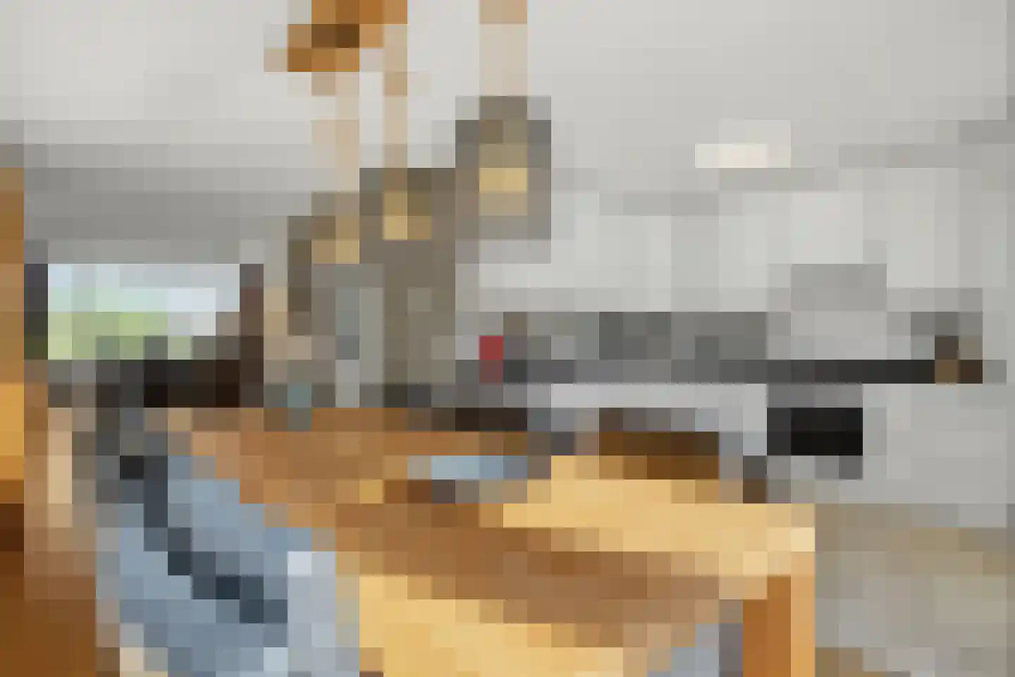 Palmestein 4 Ede thumbnail 18