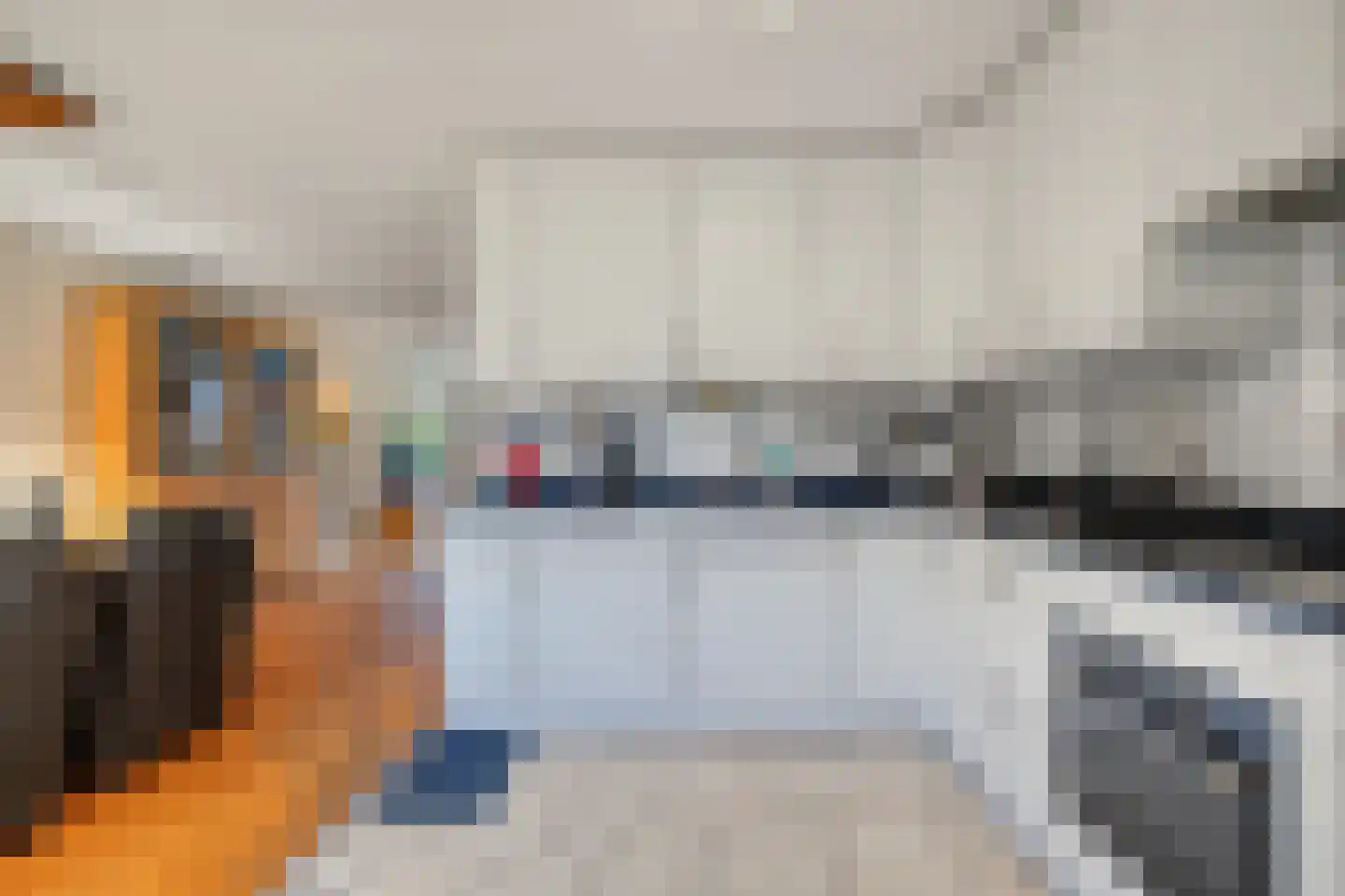 Palmestein 4 Ede thumbnail 20