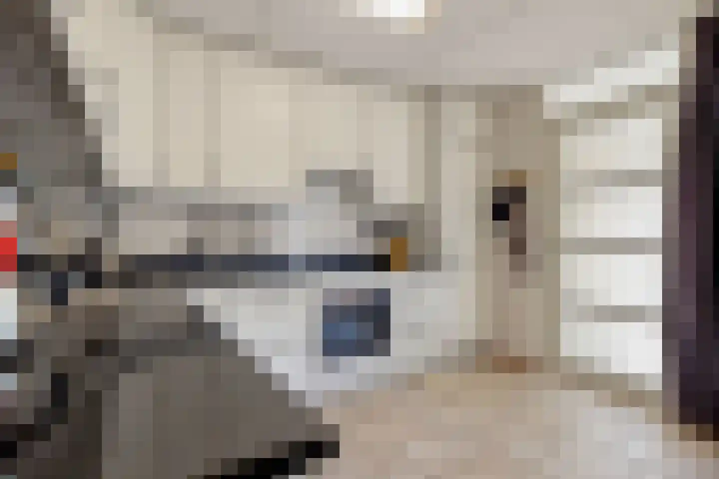 Palmestein 4 Ede thumbnail 21