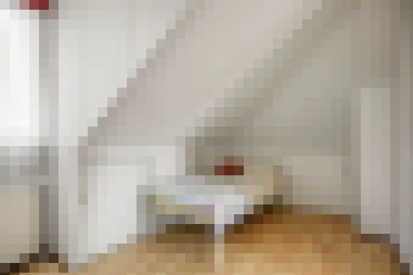 Palmestein 4 Ede thumbnail 37