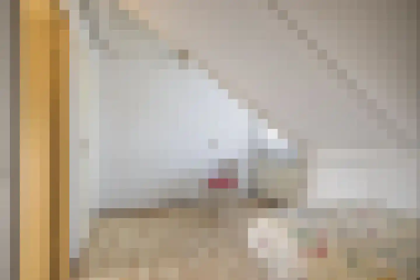 Palmestein 4 Ede thumbnail 38