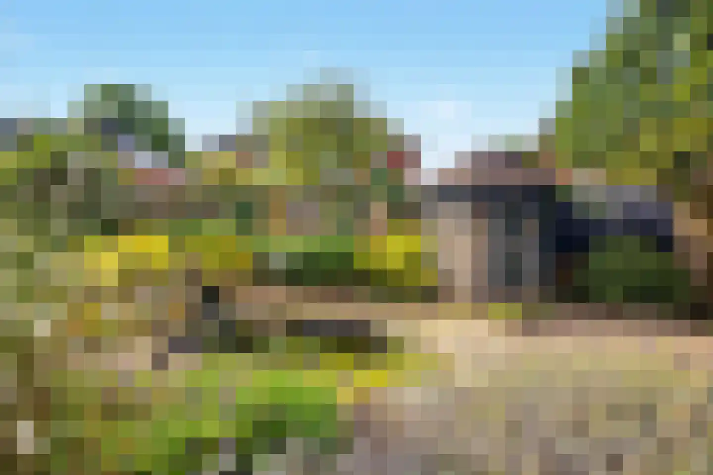 Palmestein 4 Ede thumbnail 43