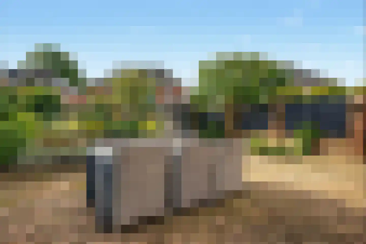Palmestein 4 Ede thumbnail 44