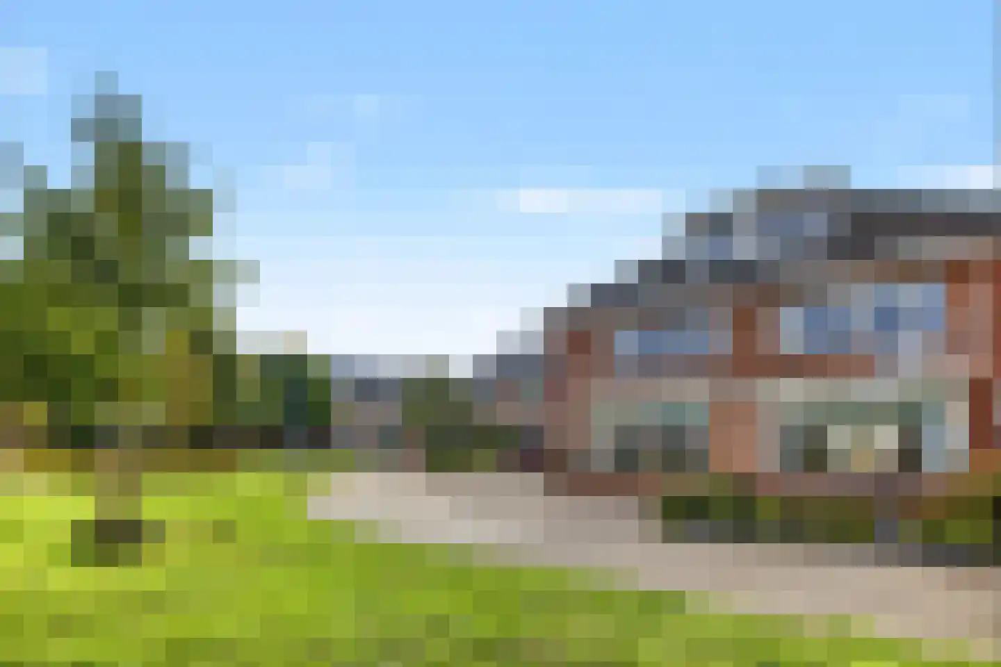 Palmestein 4 Ede thumbnail 50