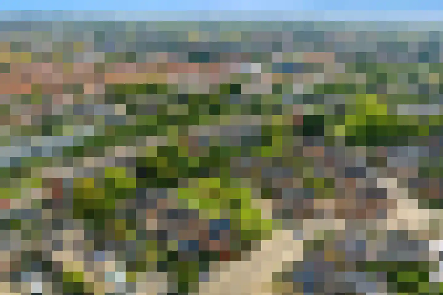 Palmestein 4 Ede thumbnail 52