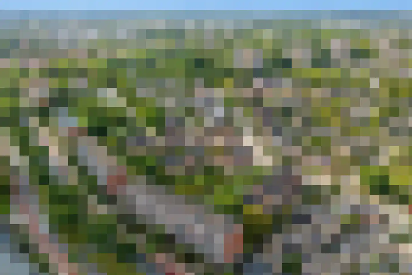 Palmestein 4 Ede thumbnail 53