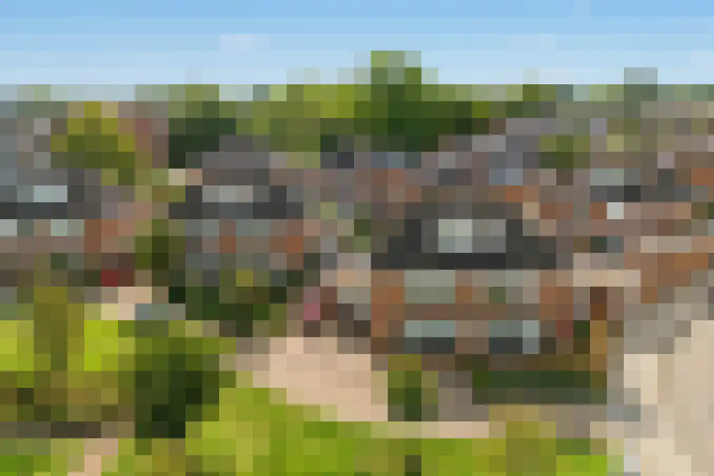 Palmestein 4 Ede thumbnail 54