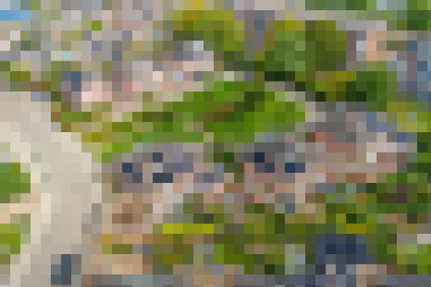 Palmestein 4 Ede thumbnail 57