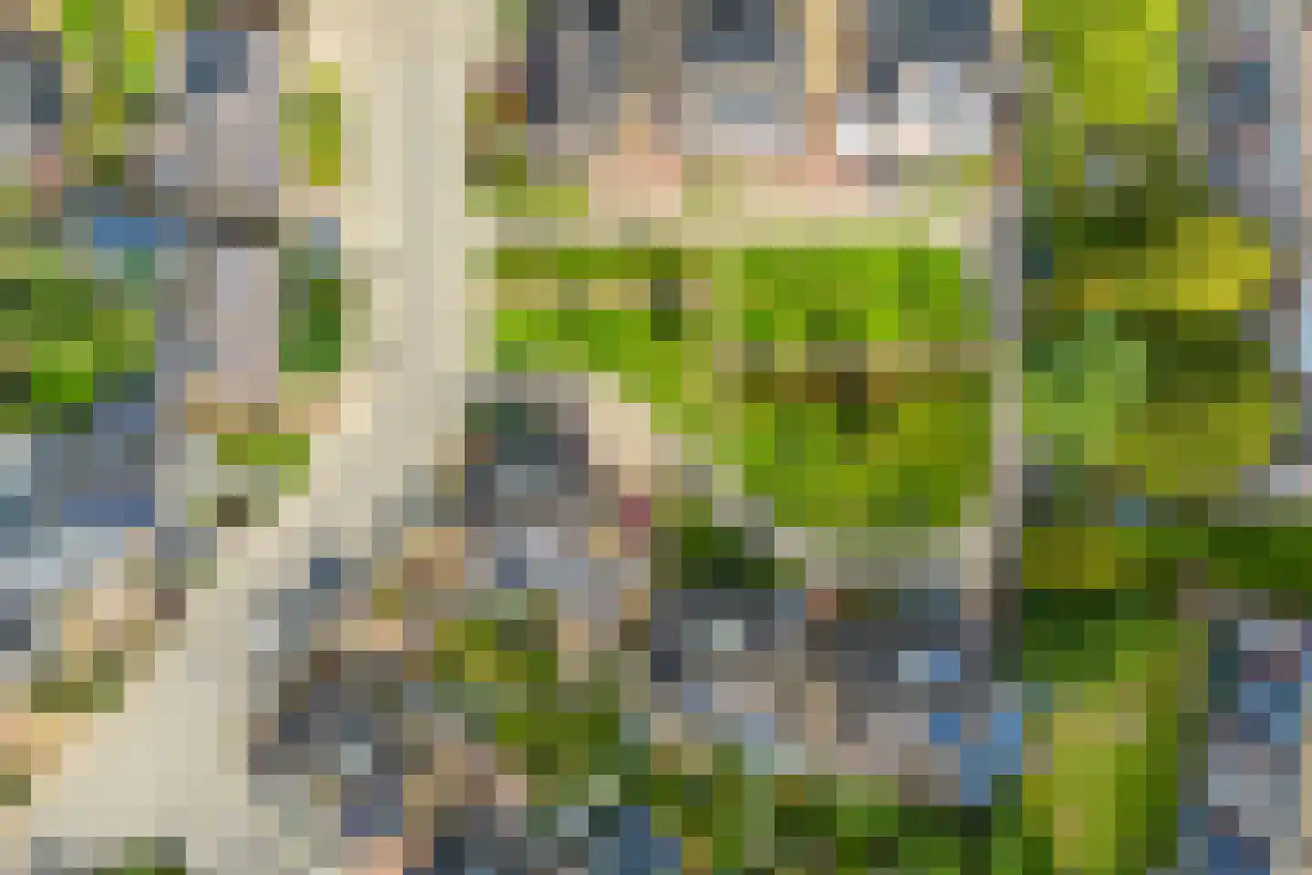 Palmestein 4 Ede thumbnail 58