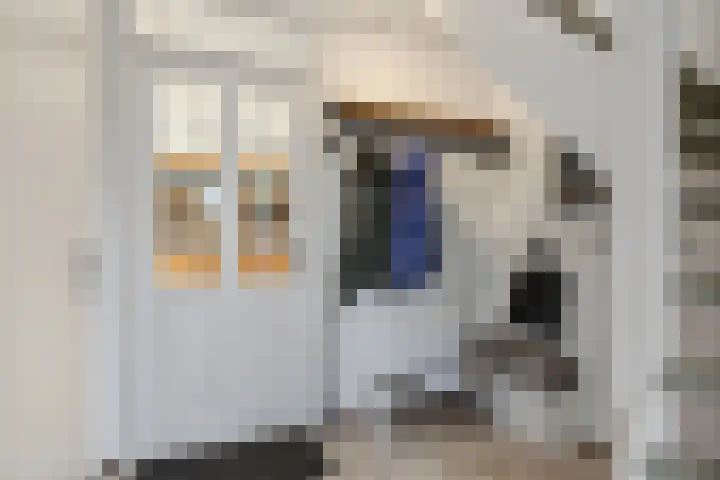 Palmestein 4 Ede thumbnail 9