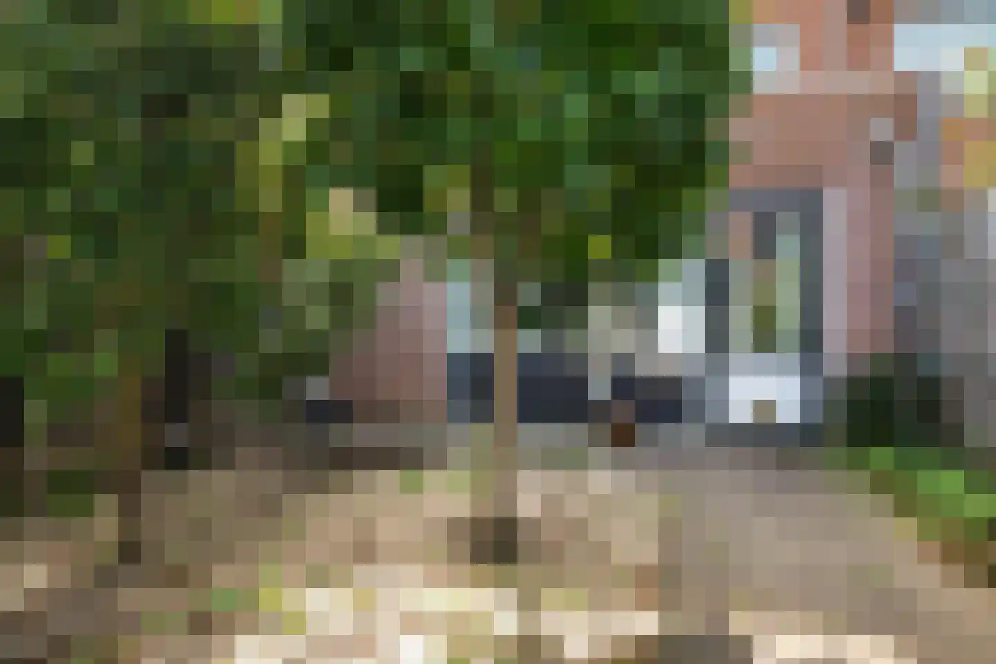 Palmestein 48 Nieuw-Vennep thumbnail 35