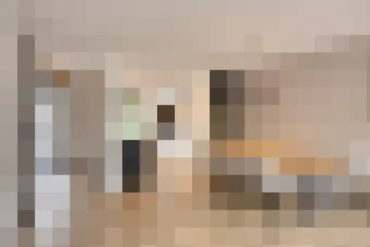 Palmestein 49 Nieuw-Vennep thumbnail 12