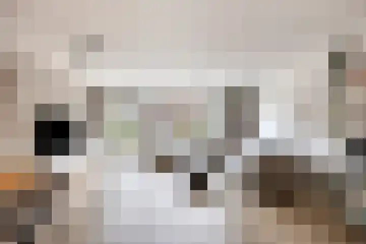 Palmestein 49 Nieuw-Vennep thumbnail 13