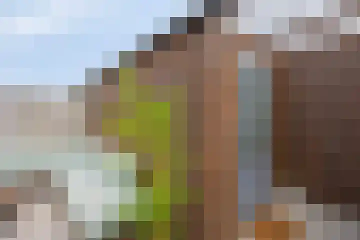 Palmestein 49 Nieuw-Vennep thumbnail 42