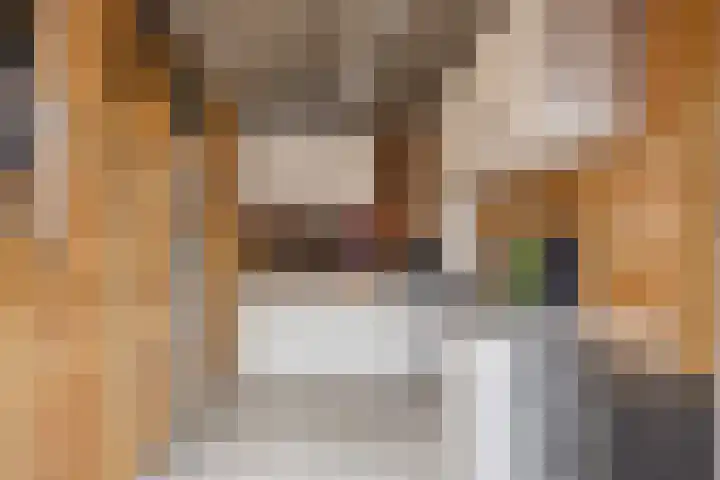 Palmestein 49 Nieuw-Vennep thumbnail 43